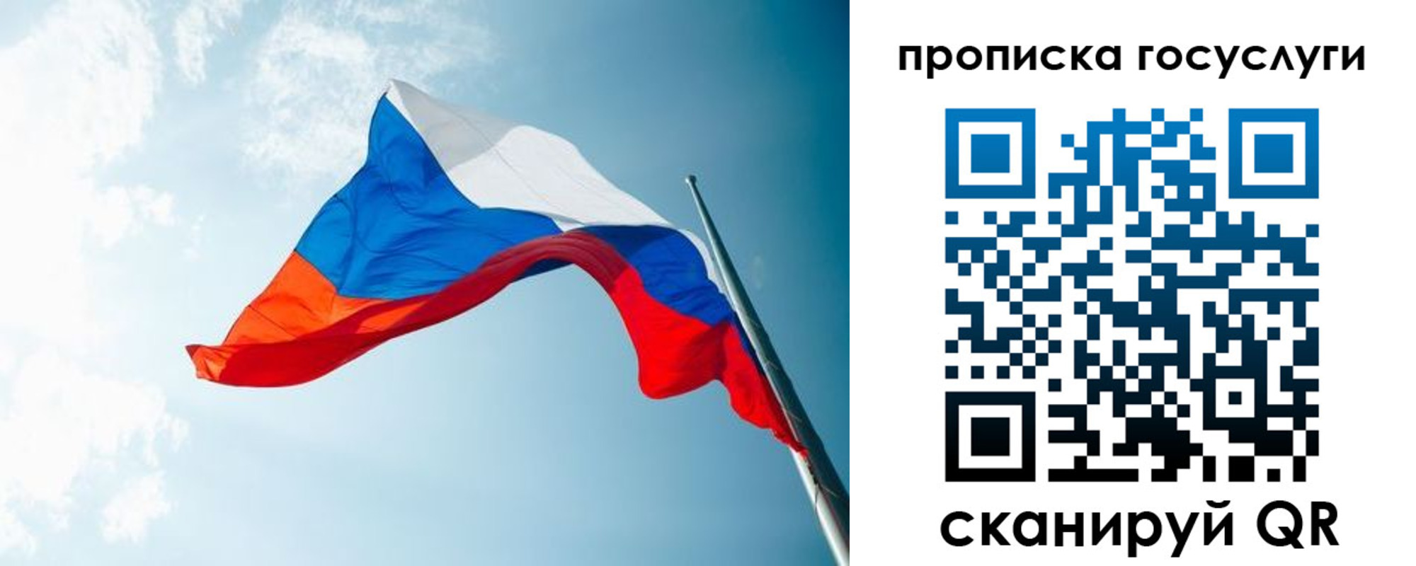 регистрация для школы в Домодедово